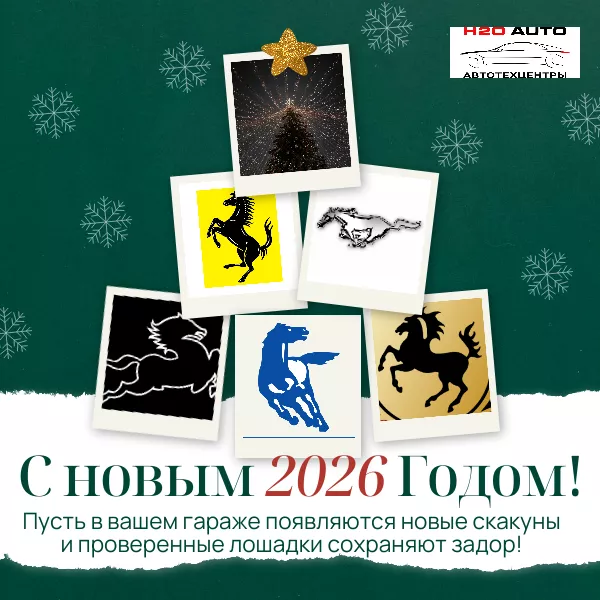 С новым 2026 годом! С новым 2026 годом!